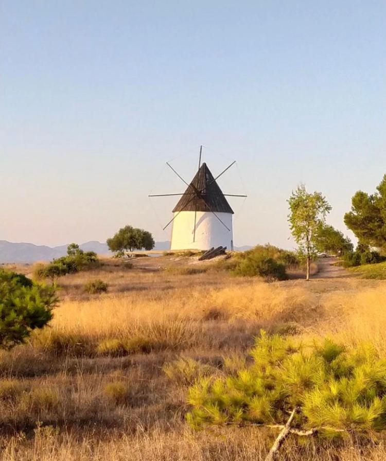 Cortijo Los Garridos - 8 Huespedes Fernan Perez Exteriér fotografie