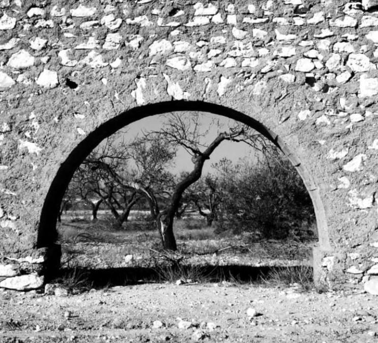 Cortijo Los Garridos - 8 Huespedes Fernan Perez Exteriér fotografie