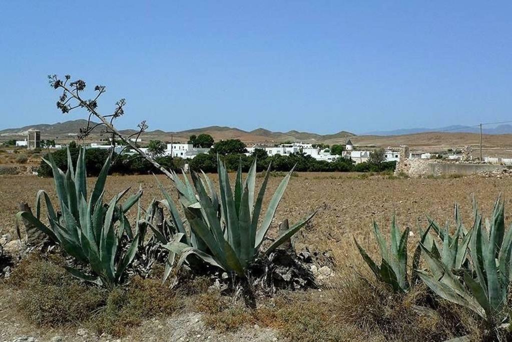 Cortijo Los Garridos - 8 Huespedes Fernan Perez Exteriér fotografie